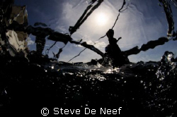 taken upon surfacing after a dive on apo. by Steve De Neef 